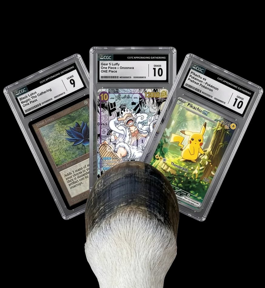 Three CGC-graded trading cards over a horse motif